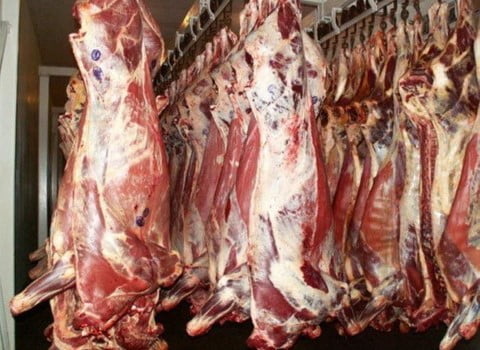 قیمت گوشت قرمز شقه گوسفندی + خرید باور نکردنی